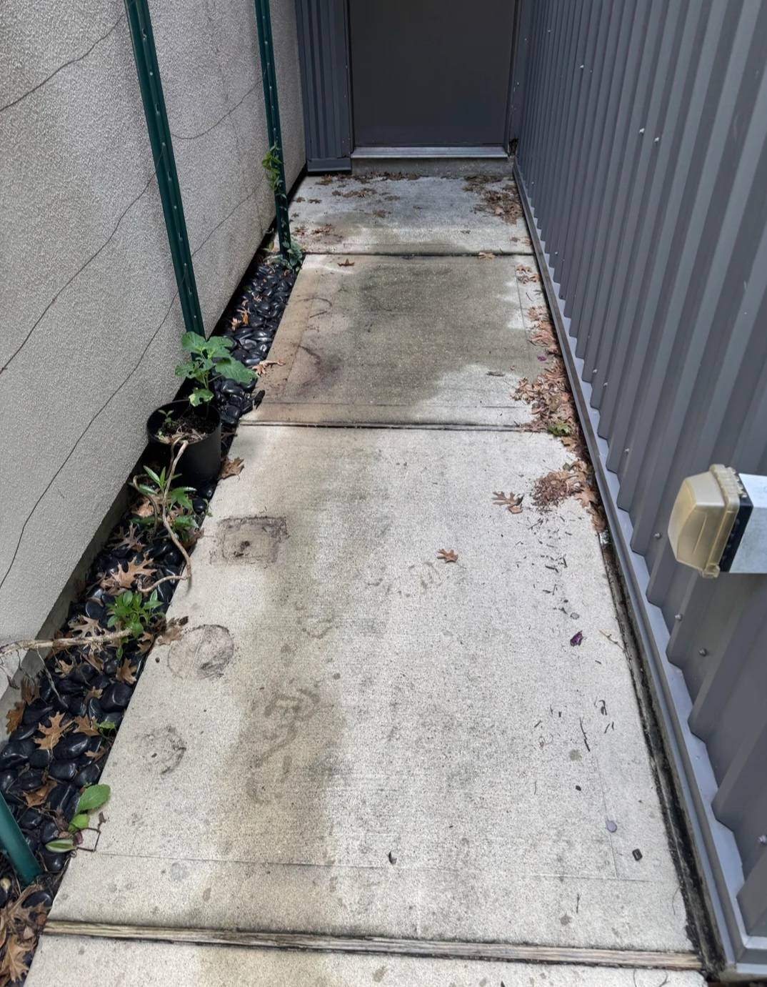 Walkway Before Cleaning
